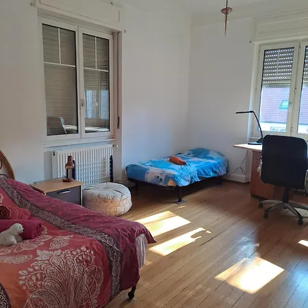 Maison De 1933 * Haguenau