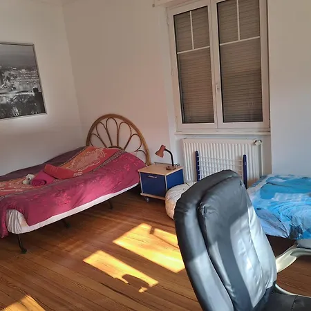 Maison De Maitre 1933 Homestay Haguenau