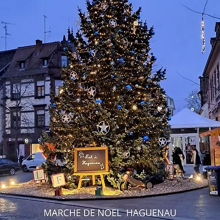 Maison De 1933 Haguenau